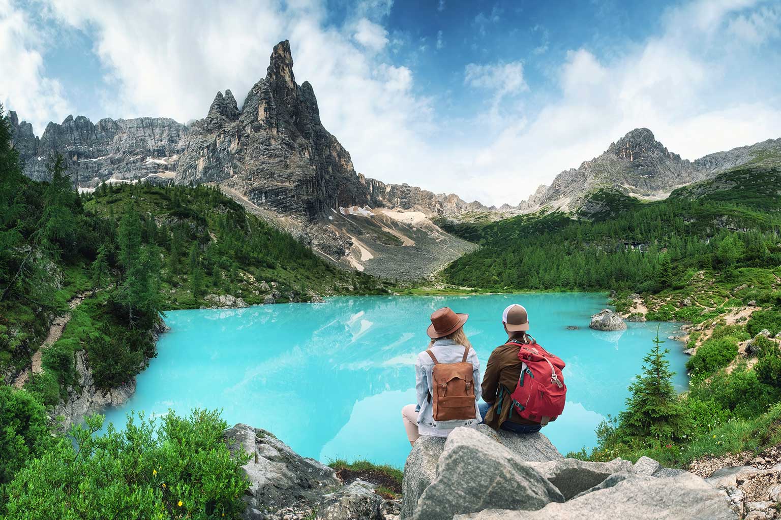 Lire la suite à propos de l’article The Beauty of The Soematra Forest & Stories