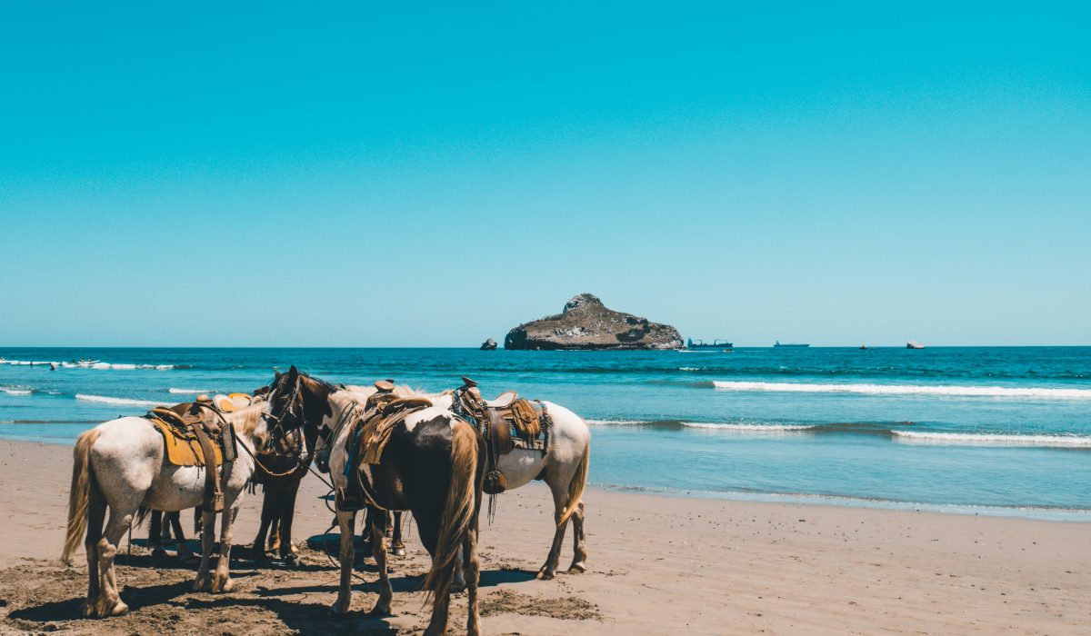 Balade cheval Agadir