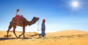 Balade chameau Agadir